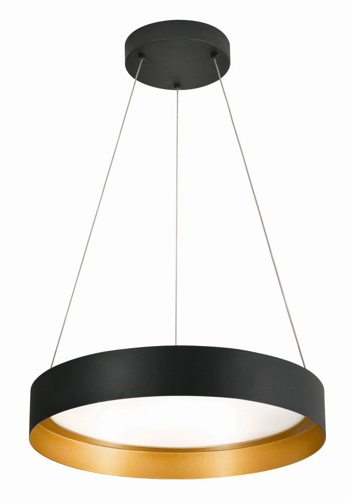 Black and Gold LED Globe Pendant Light