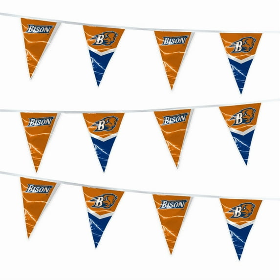 AGAS Bucknell Bisons 15' Pennant Banner, Triangle Flag Bunting, Party Decorations, Game Day, Dorms