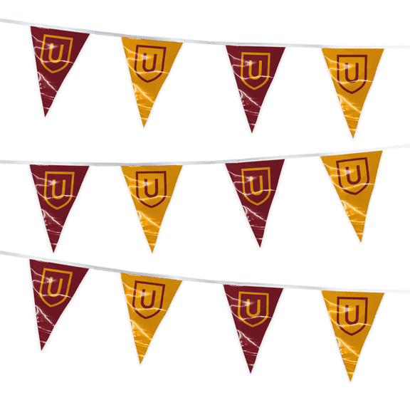 AGAS 15' Ursinus College UC Bearcats Pennant String, Triangle Flag Bunting Party Decorations, Game Day, Dorms, College Party V-Shaped Streamers, UC Bears Streamers