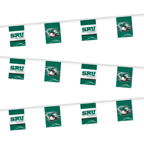 AGAS 30' Slippery Rock College Flags Bunting for Tailgate, Game Day, Dorms, The Rock College Party Decorations
