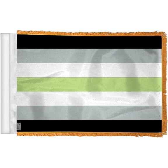 AGAS Agender Pride Antenna Aerial Flag For Cars with Gold Fringe 4x6 inch - Printed Wrap Knitted Polyester Stitched Edges - Plastic Mounting Clip - Gold Fringed Agender Pride Flag for Automobiles
