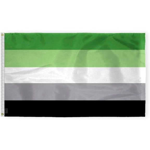 AGAS Aromantic Pride Flag 3x5 Ft - Printed 200D Nylon - Brass Grommets Stitched Edges Fade Proof Sharp Colors - Aro Flag 3x5 Fts