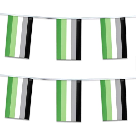 AGAS Aromantic Pride Streamers for Party 60 Ft long - 5 Mil Plastic - Aromantic Pride Symbol Gay Pride Decorations Gay Pride Party Decoration with String