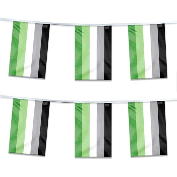 AGAS Aromantic Pride Streamers for Party 60 Ft long - Printed Single Sided on Polyester Fabric - Stitched Edges - Aromantic Party Decoration with String