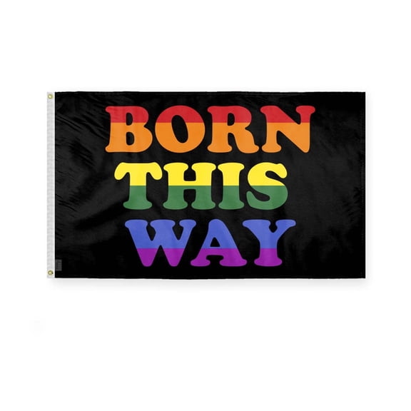 AGAS Born This Way Pride Flag 3x5 Ft - Polyester - Plated Grommets - Born This Way Pride Body Flag 3 x 5 Ft Born This Way Pride Banner