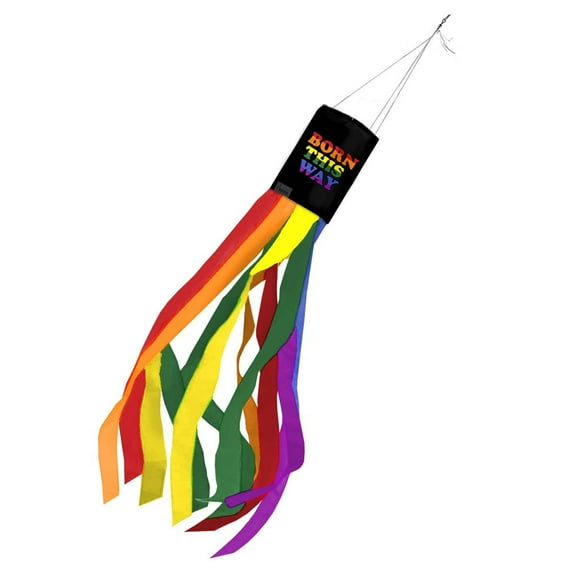 AGAS Born This Way Born This Way Pride 60 inch Column Windsock - Printed Single Sided on Outdoor Heavy Duty Nylon - Hanging Decoration Windsocks for Yard Yellow Ribbon Yard Décor - Clip for Hanging