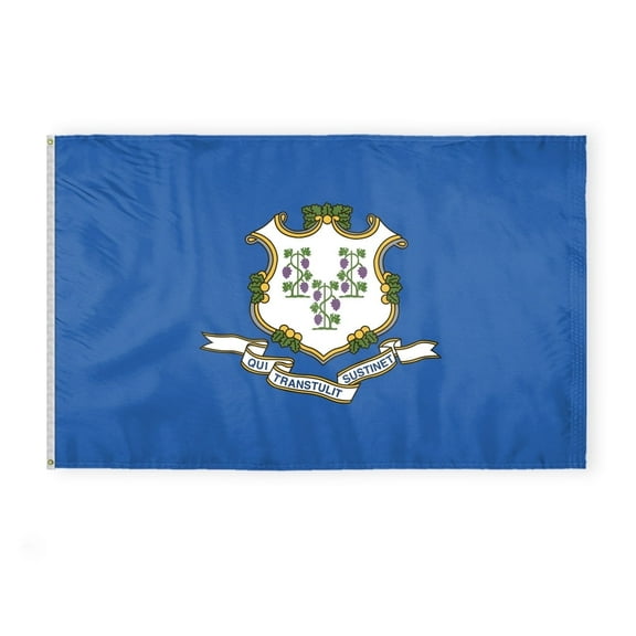 AGAS Connecticut State Flag 5x8 Ft - Double Sided Reverse Print On Back 200D Nylon - Brass Grommets Stitched Edges Fade Proof Sharp Colors Indoor/Outdoor State of Connecticut Large Size Flag