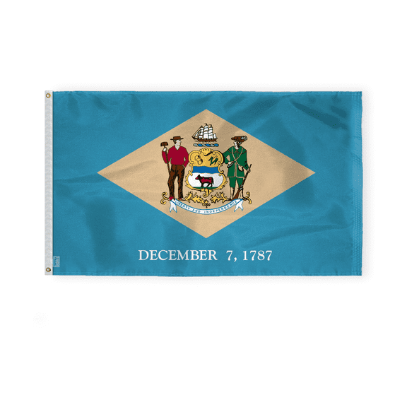AGAS Delaware State Flag 3x5 Ft - Single Sided Polyester - Iron Grommets - Indoor/Outdoor Standard Size State of Delaware DE Flag