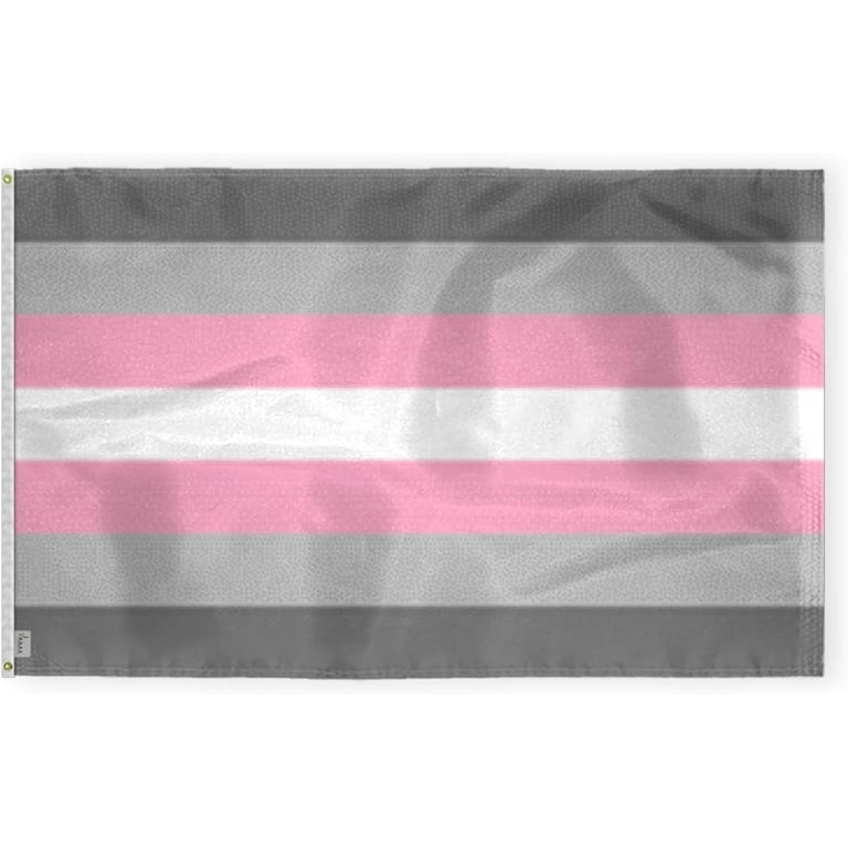AGAS Demigirl Pride Flag 5x8 Ft - Double Sided Printed 200D