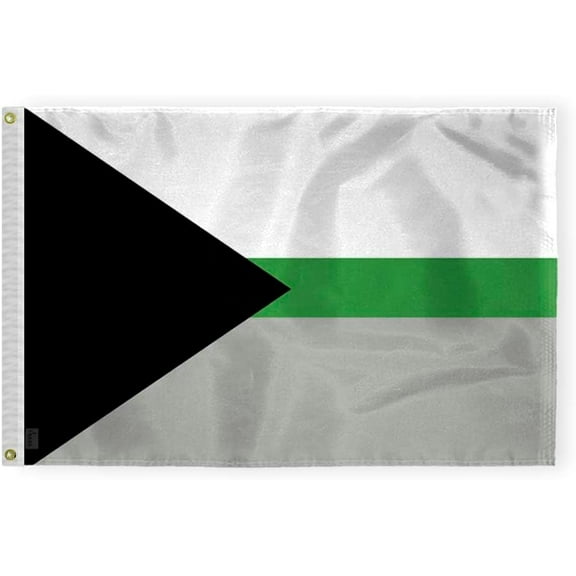 AGAS Demiromantic Pride Flag 2x3 Ft - Printed 200D Nylon - Brass Grommets - Fade Proof Sharp Colors - Demiromantic Community Flag