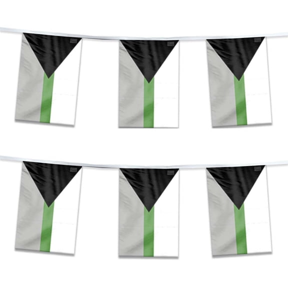 AGAS Demiromantic Pride Streamers for Party 60 Ft long - Printed Single Sided on Polyester Fabric - Stitched Edges - Demi Romantic Party Decoration with String
