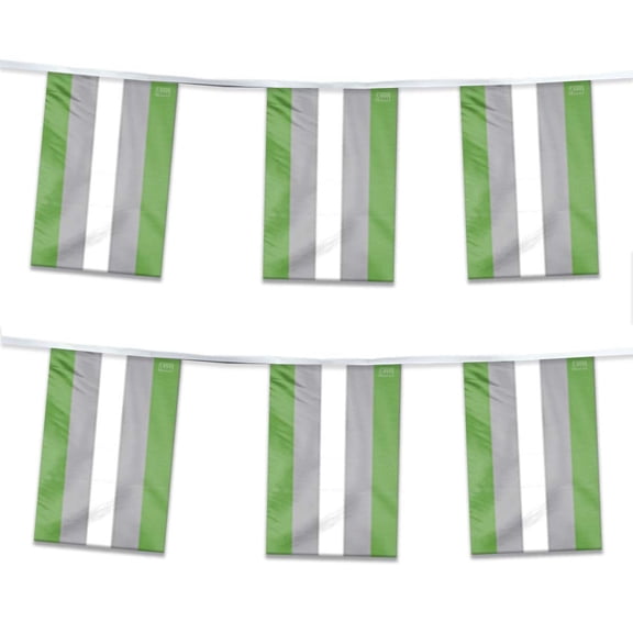 AGAS Greyromantic Pride Streamers for Party 60 Ft long - Printed Single Sided on Polyester Fabric - Stitched Edges - Grey Pride Party Decoration with String
