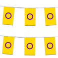 thumbnail image 1 of AGAS Intersex Streamers for Party 60 Ft long - 5 Mil Plastic - Intersexuality Party Decoration with String, 1 of 1
