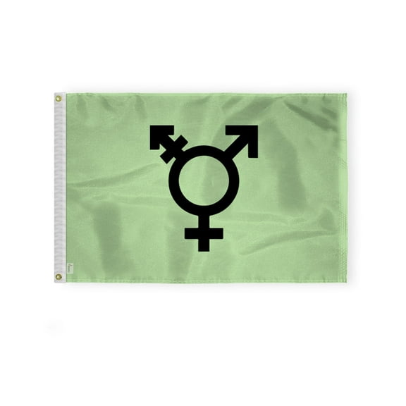 AGAS Israel Jewish Trans Flag 2x3 Ft - Printed 200D Nylon - Brass Grommets - Fade Proof Sharp Colors - Israeli Transgender Pride Community Flag