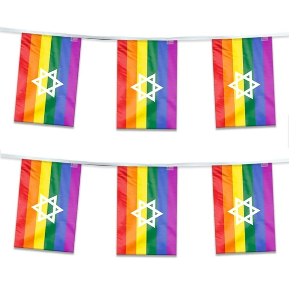 AGAS Israel Rainbow Streamers for Party 60 Ft long - Printed Single Sided on Polyester Fabric - Stiched Edges - Jewish Pride Party Decoration with String