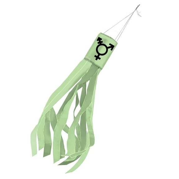 AGAS Israel Trans 60 inch Column Windsock - Printed Single Sided on Outdoor Heavy Duty Nylon - Hanging Decoration Windsocks for Yard Yellow Ribbon Yard Décor - Clip for Hanging