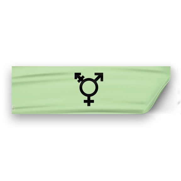 AGAS Israel Trans Flag 3x10 inch Static Window Cling -Vinyl Material - Removable, Resusable and Leaves no Residue