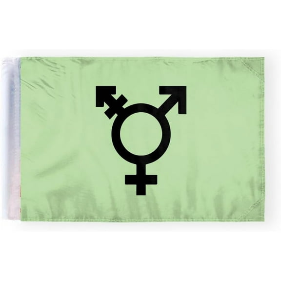 AGAS Israel Trans Motorcycle Flag 6x9 inch - Double-Layered Printed 2-Ply Durable Knitted Polyester - 0.75 inch Sleeve- Fits on 3/8" Mount Pole
