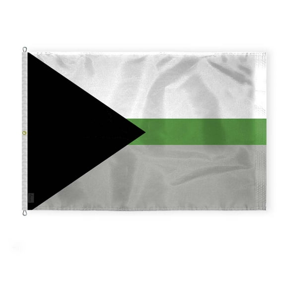 AGAS Large Demiromantic Pride Flag 8x12 Ft - Printed 200D Nylon - Rope Thimble Brass Grommet Stitched Edges Fade Proof Sharp Colors - Large Size Indoor/Outdoor Demiromantic Pride flag