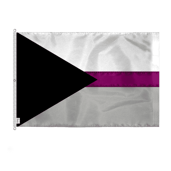 AGAS Large Demisexual Embroidered Pride Flag 8x12 Ft - Sewn 200D Nylon - Showcase Your Pride with Vibrant Colors - Deluxe Demisexual Pride Flag - Includes Rope, Thimbles, and 1 Brass Grommet