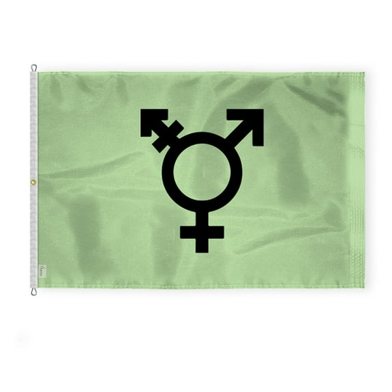 AGAS Large Israel Trans Flag 8x12 Ft - Printed 200D Nylon - Rope Thimble Brass Grommet Stitched Edges Fade Proof Sharp Colors - Large Size Indoor/Outdoor Israel Transgender Pride flag