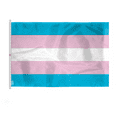 thumbnail image 1 of AGAS Large Transgender Trans Pride Flag 8x12 Ft - Double Sided Printed 200D Nylon - Rope Thimble Brass Grommet Stitched Edges Fade Proof Sharp Colors - Large Size Indoor/Outdoor Trans flag, 1 of 1