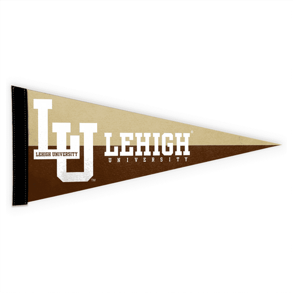 AGAS Lehigh Hawks Pennant Mini, 9 x 24 Inches Sleeve for Stick, Officially Licensed Merchandise
