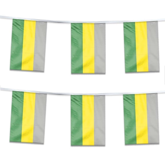 AGAS Lithromantic Pride Streamers for Party 60 Ft long - Printed Single Sided on Polyester Fabric - Stitched Edges - Lithromantic Party Decoration with String