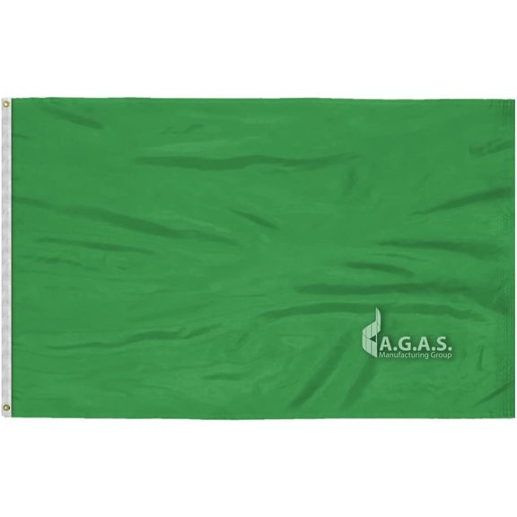 AGAS Mfg 5x8 FT Silk Polyester Blank Flag (Green)- Vivid colors for decoration or advertising with canvas header and two grommets.
