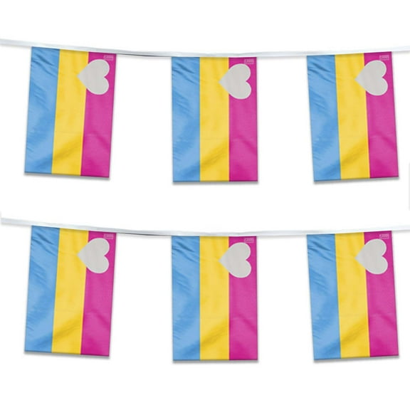 AGAS Panromantic Pride Streamers for Party 60 Ft long - Printed Single Sided on Polyester Fabric - Stitched Edges - Panromantic Party Decoration with String
