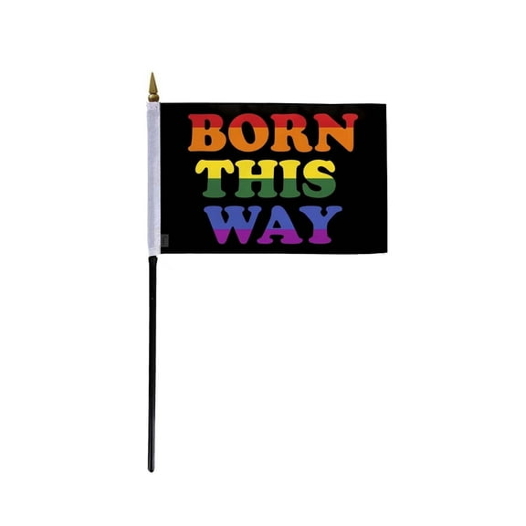 AGAS Small Born This Way Pride Flag 4x6 inch Flag on a 11 inch Plastic Stick - Sewn Edges Fade Resistant Polyester - Born This Way Pride Handheld Flag