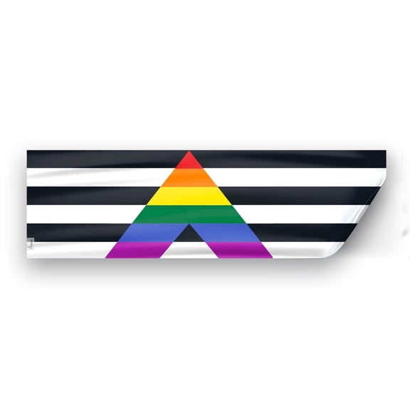 AGAS Straight Ally Rainbow Flag 3x10 inch Static Window Cling -Vinyl Material - Removable, Resusable and Leaves no Residue
