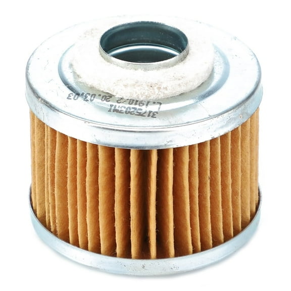 AGCO (OEM) #3175203M1 Hydraulic Oil Filter Cartridge for Challenger and Massey Ferguson 250X 251XE 283 450 451 MT323 Tractors