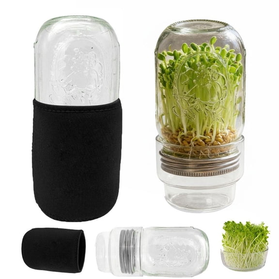 AGIUFGS Glass Sprout Jar Set with Height, Festive Holiday Designs, for Home Use