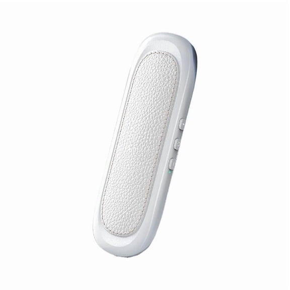 AGIUFGS Under Pillow Speaker with Bluetooth, Festive Holiday Designs, for Home Use