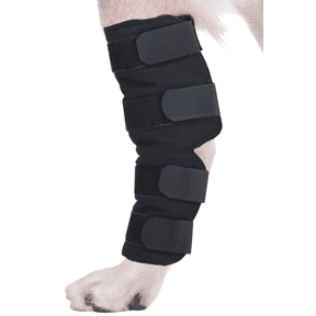 AGON Canine Dog Hock Brace Rear Leg Joint Wrap Protects Wounds as they Heal, Compression Wrap, Heals and Prevents Injuries and Sprains Helps with Loss of Stability Caused by Arthritis (Medium)