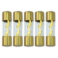 thumbnail image 1 of AGU Fuse 10A 10 Amp Gold Glass Inline for Car/Auto/Marine Audio Stereo Amplifier Power Protection (10 Amp), 1 of 2