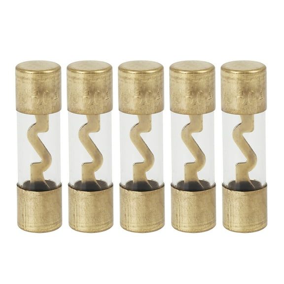 AGU Fuse 5pcs 60 Amp Gold Tone Plated for Car Audio Video Stereo