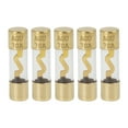 thumbnail image 1 of AGU Fuse 5pcs 70 Amp Gold Tone Plated for Car Audio Video Stereo, 1 of 6