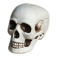 thumbnail image 1 of AHGQT Halloween Decor Life Size Skeleton Skull, 7" Plastic Realistic Fake Simulation Human Skull HeadBone, Skeleton Head for Halloween Decor Graveyard Outdoor Home Decor Gift, 1 of 4