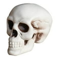thumbnail image 1 of AHGQT Halloween Decor Life Size Skeleton Skull, 7" Plastic Realistic Fake Simulation Human Skull HeadBone, Skeleton Head for Halloween Decor Graveyard Outdoor Home Decor Gift, 1 of 5