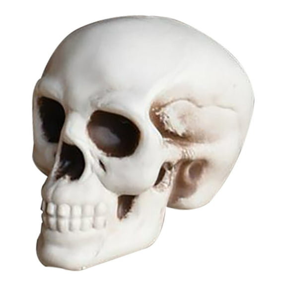 AHGQT Halloween Decor Life Size Skeleton Skull, 7" Plastic Realistic Fake Simulation Human Skull HeadBone, Skeleton Head for Halloween Decor Graveyard Outdoor Home Decor Gift