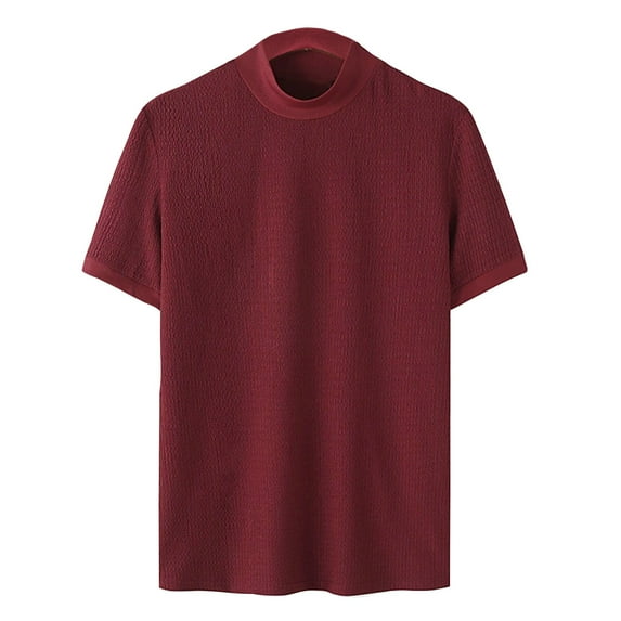 AHTJRT Men's Casual Short Sleeve Mock Neck T Shirt Soft Lightweight Relaxed Fit Trendy Blouse Wine 3XL