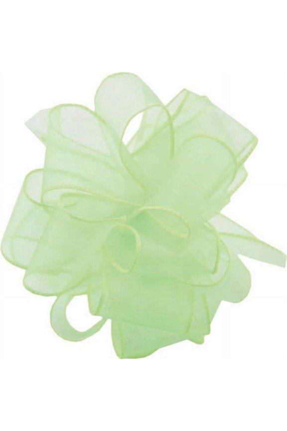 AI-190919-Q01 1.5 in. x 50 Yards Wired Lime Green Spring Sheer Ribbon