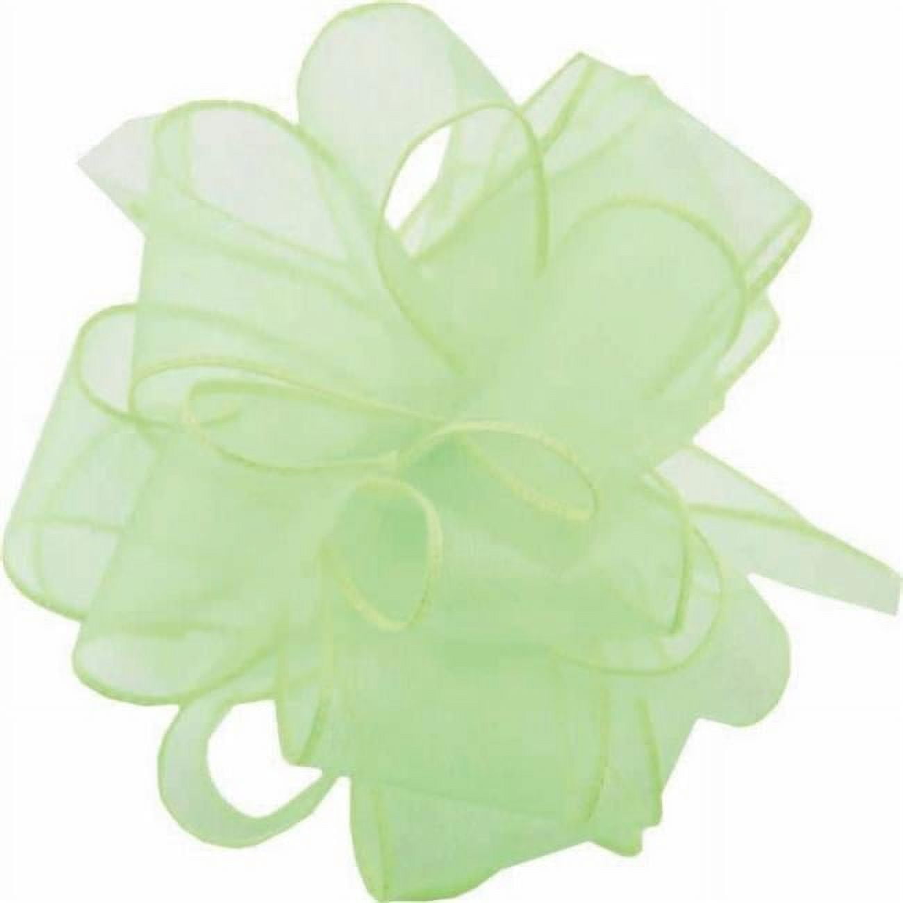 AI-190919-Q02 1.5 in. x 50 Yards Wired Lime Green Spring Sheer Ribbon ...