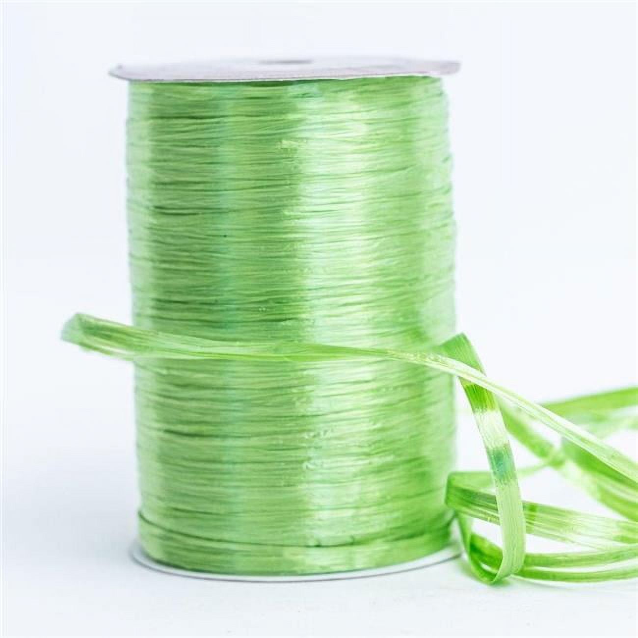 Sage Green 1/4 Inch x 100 Yards Wraphia Ribbon - JAM Paper Crafting  Supplies