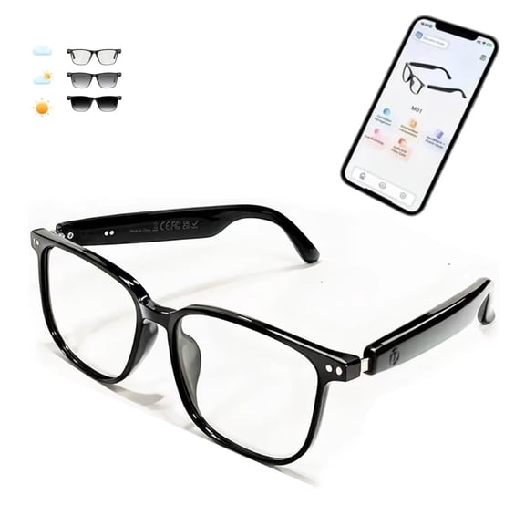 AI Interpretation Smart Glasses, Interpreter Glasses with 164-Language, Photochromic Lenses, Hands-Free Audio, Noise-Cancelling Mic