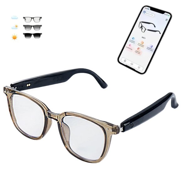AI Interpretation Smart Glasses, Interpreter Glasses with 164-Language, Photochromic Lenses, Hands-Free Audio, Noise-Cancelling Mic