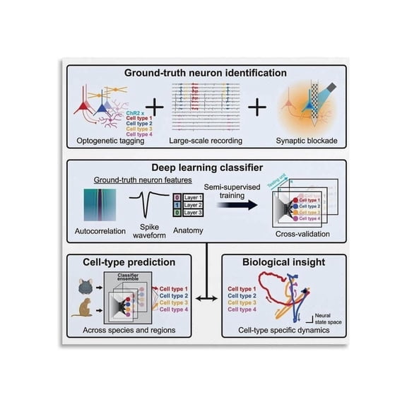 AI Learning Neural Science Poster Classroom Office Educational Decor Visual Guide Canvas Wall Art For Living Room Bedroom
