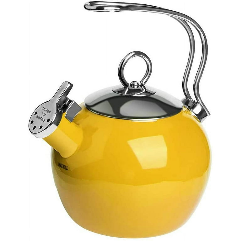 Whistling Tea Kettle, Stainless Steel Tea Kettle, Non-Toxic